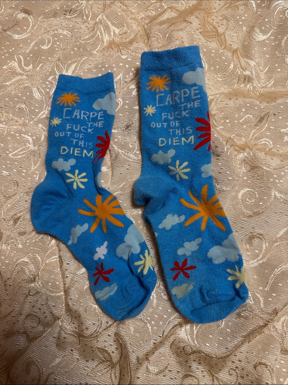 Blue Q Carpe Diem Women's Crew Socks
